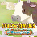 STORY OF SEASONS: A Wonderful life (PS5)